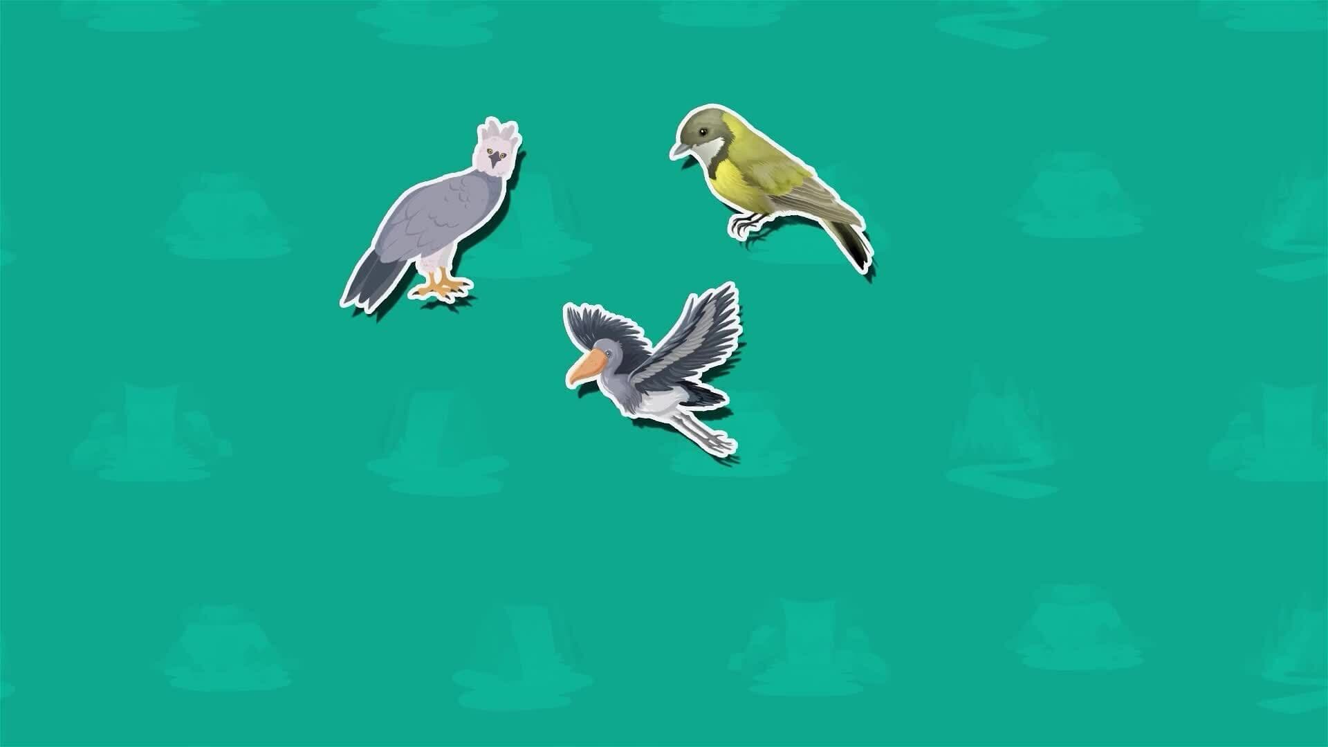 I WONDER - What Plants And Animals Live Near Angel Falls?