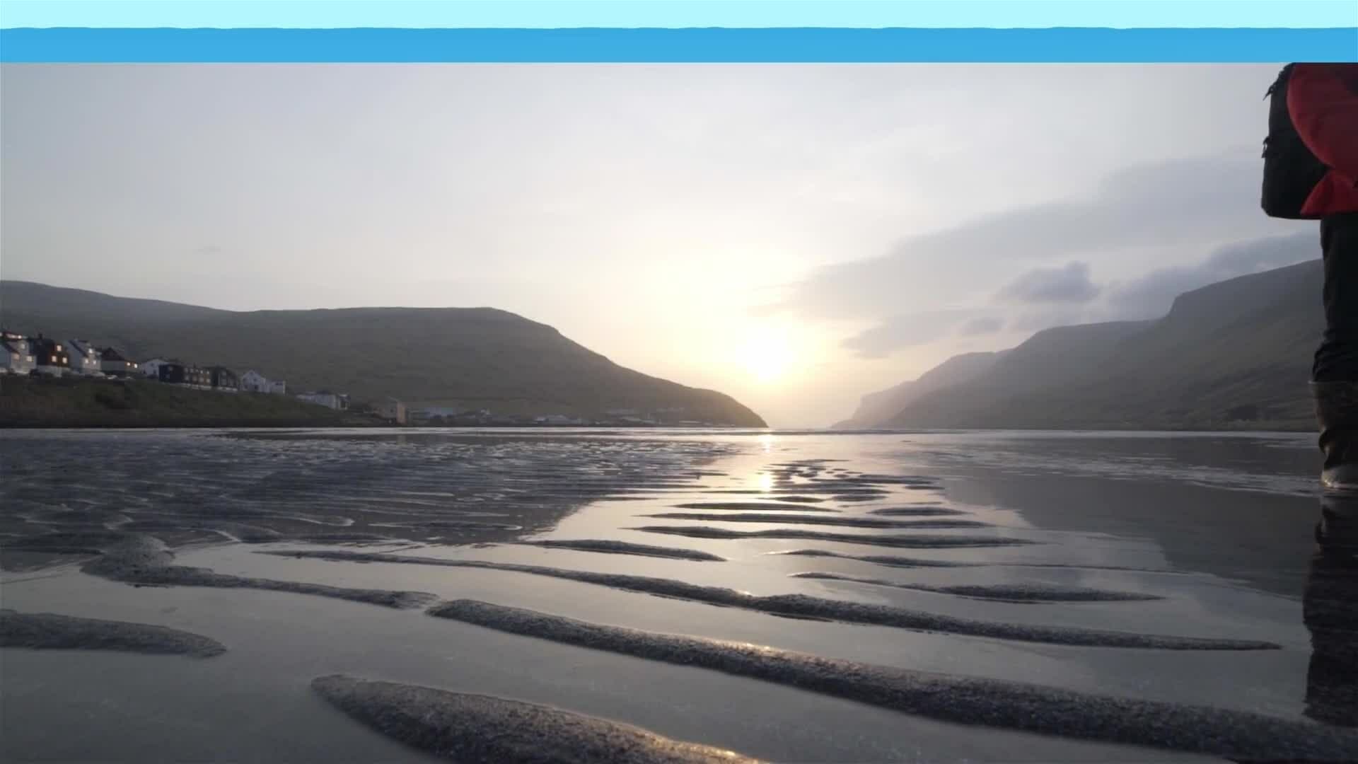 I WONDER - How Do You Escape Quicksand?