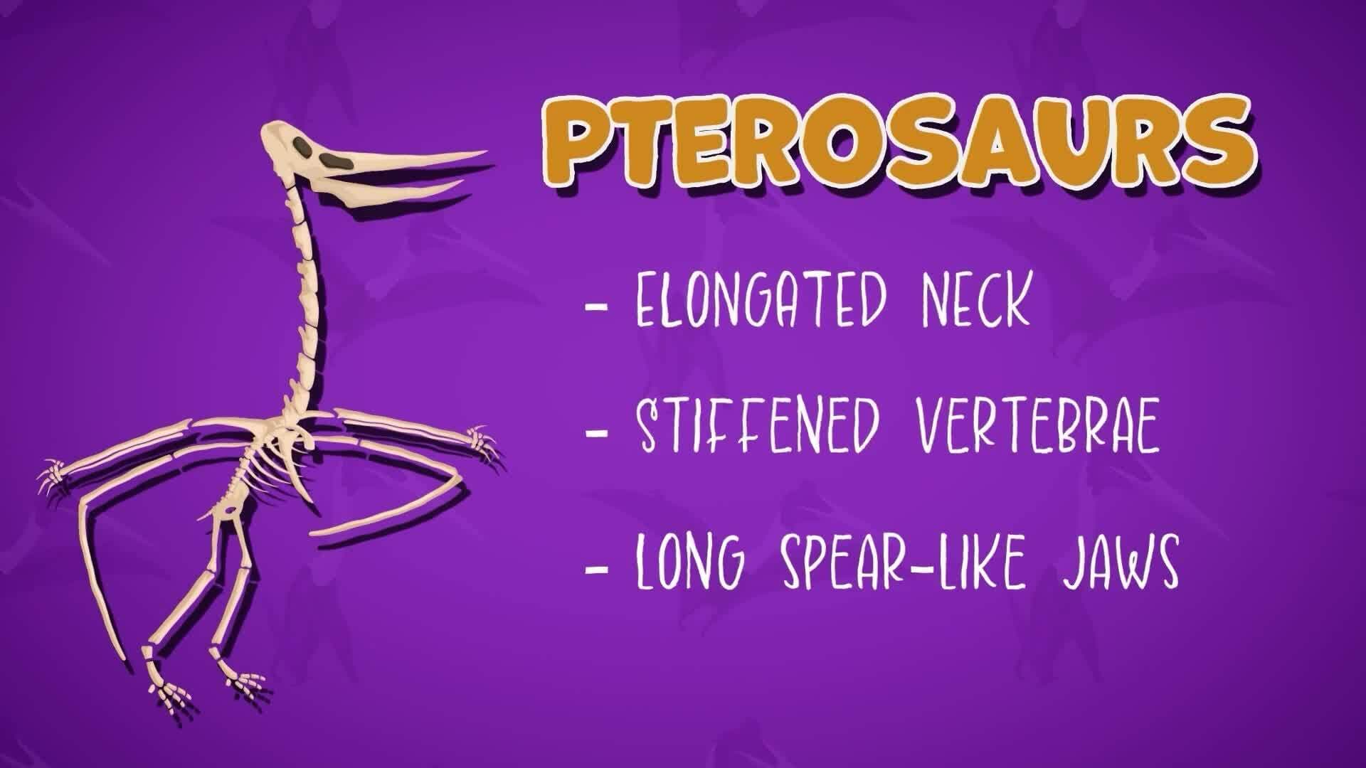 I WONDER - How Did The Quetzalcoatlus Eat?