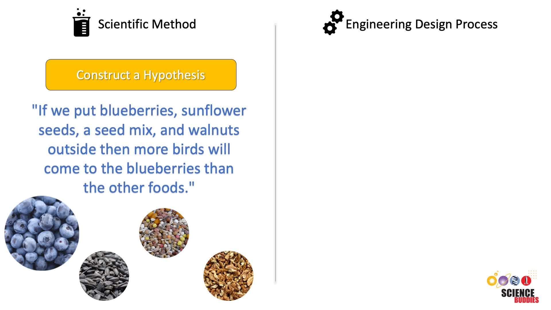 Which should you choose? Scientific Method versus Engineering Design Process