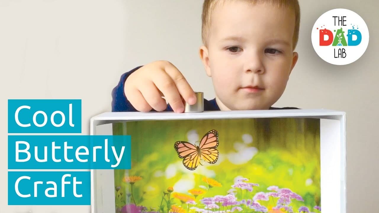 Magnet Craft: Box with Flying Paper Butterfly