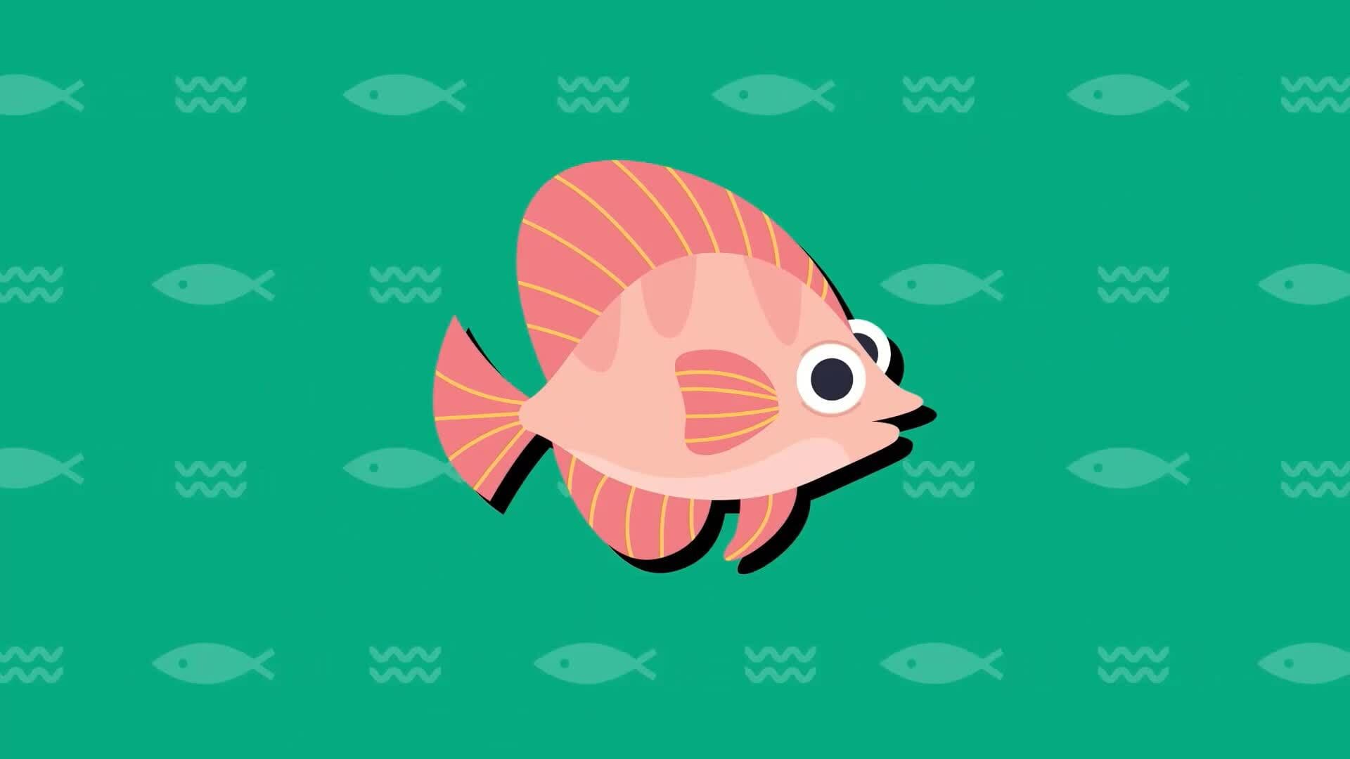 I WONDER - Do Fish Have Eyelids?