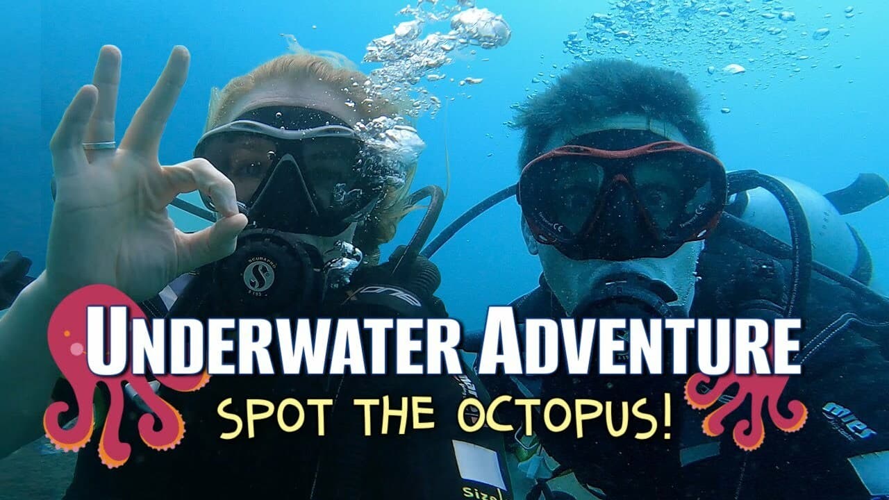 Underwater Adventure! Can you spot the Octopus? | Maddie Moate