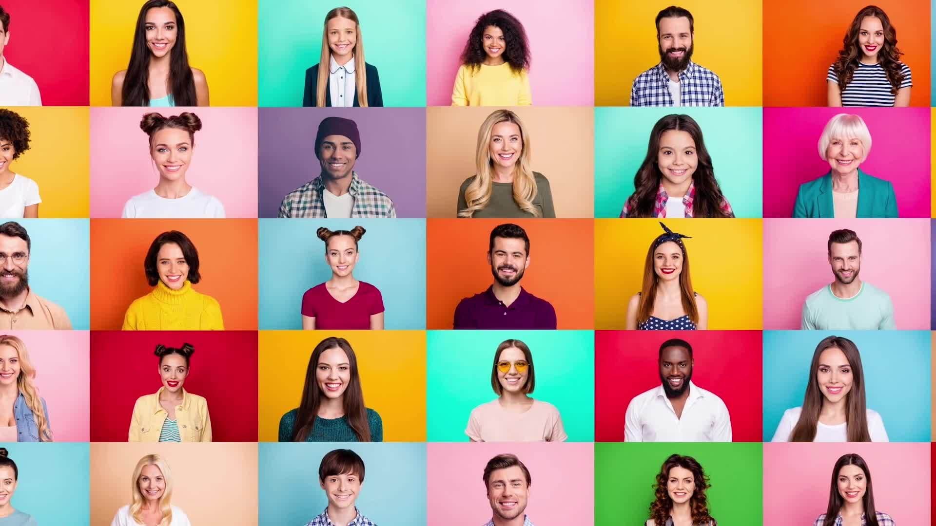 The Forest Ecosystem: Understanding Community and Cooperation Among Trees