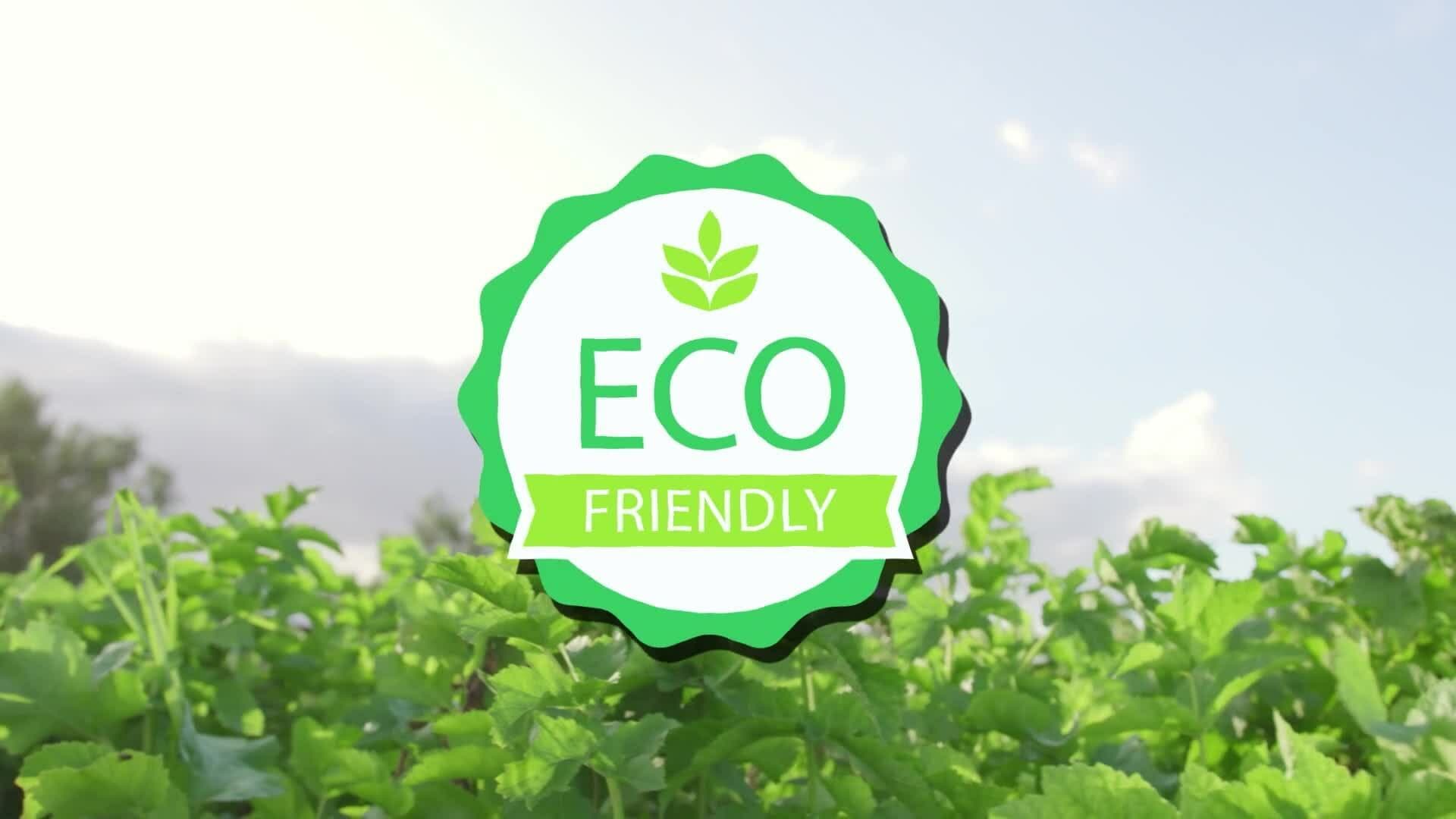 I WONDER - How Can We Reduce Food Waste?