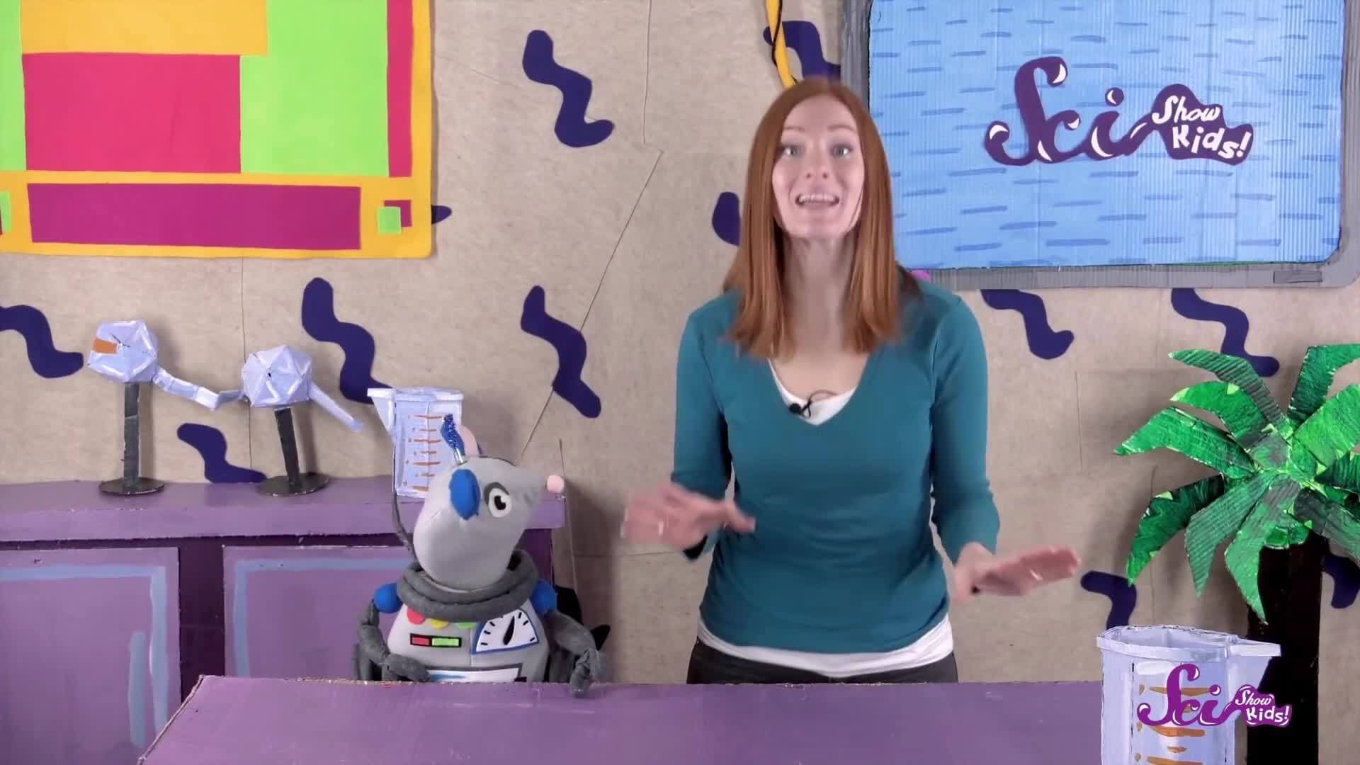 Meet the American Bison!