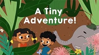 A Tiny Adventure