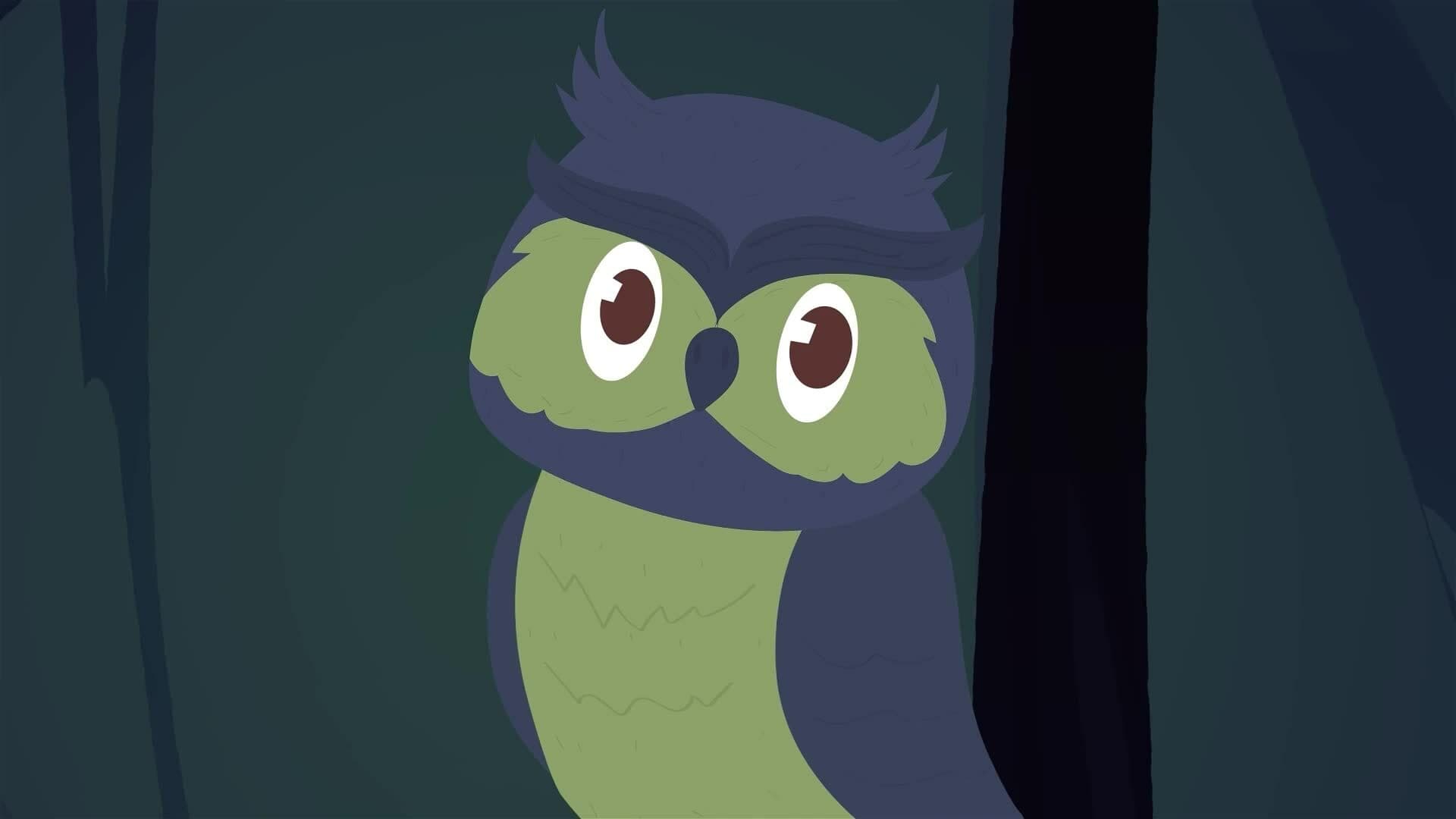 I WONDER - What Is A Nocturnal Animal?