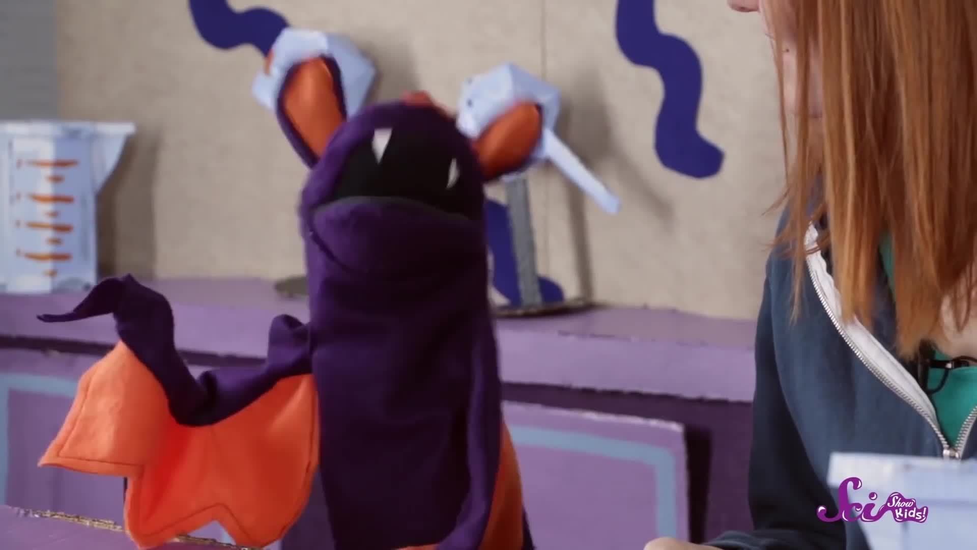 Create Constellation Flash Cards