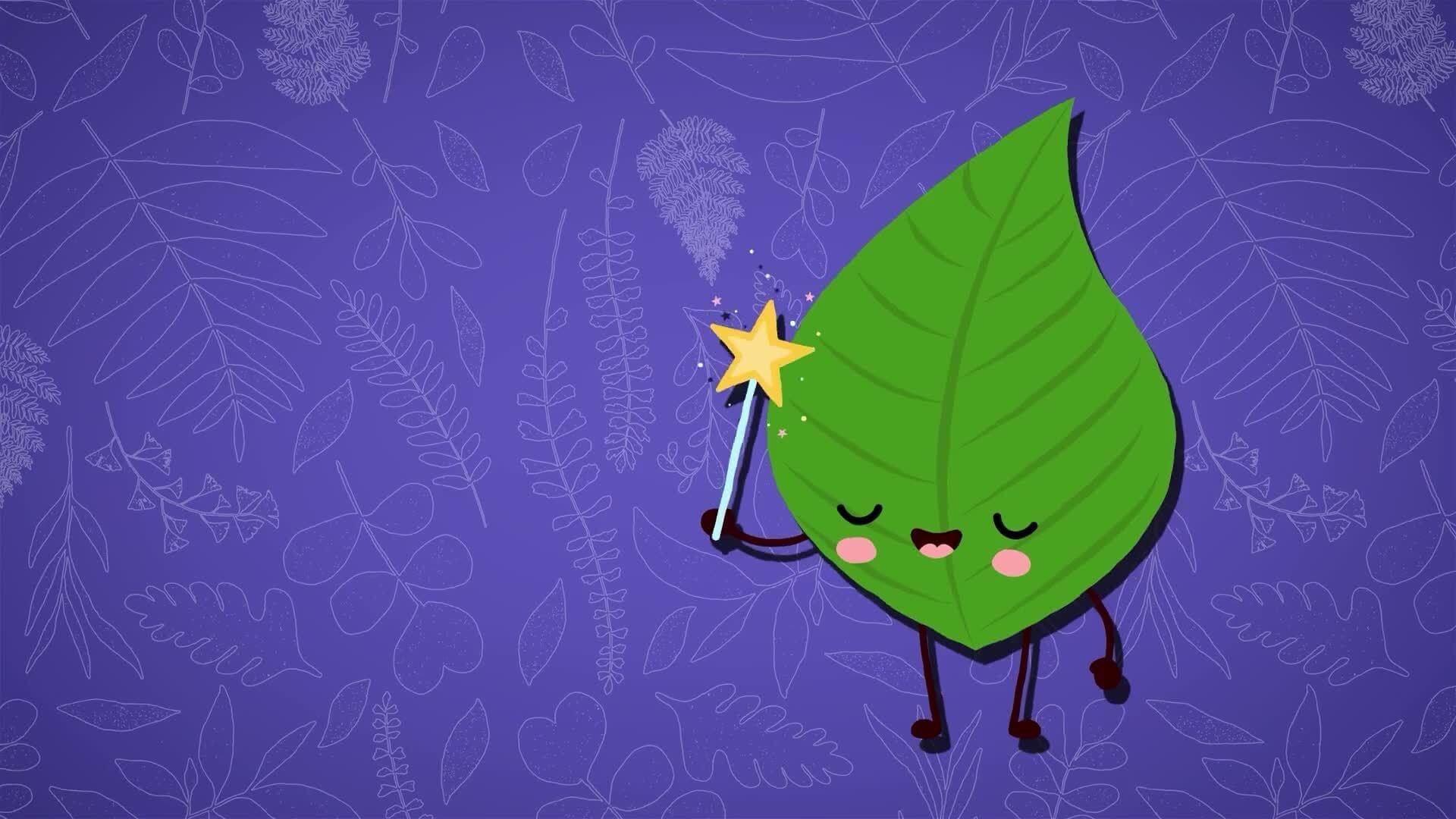 I WONDER - What Is A Plant Cutting?