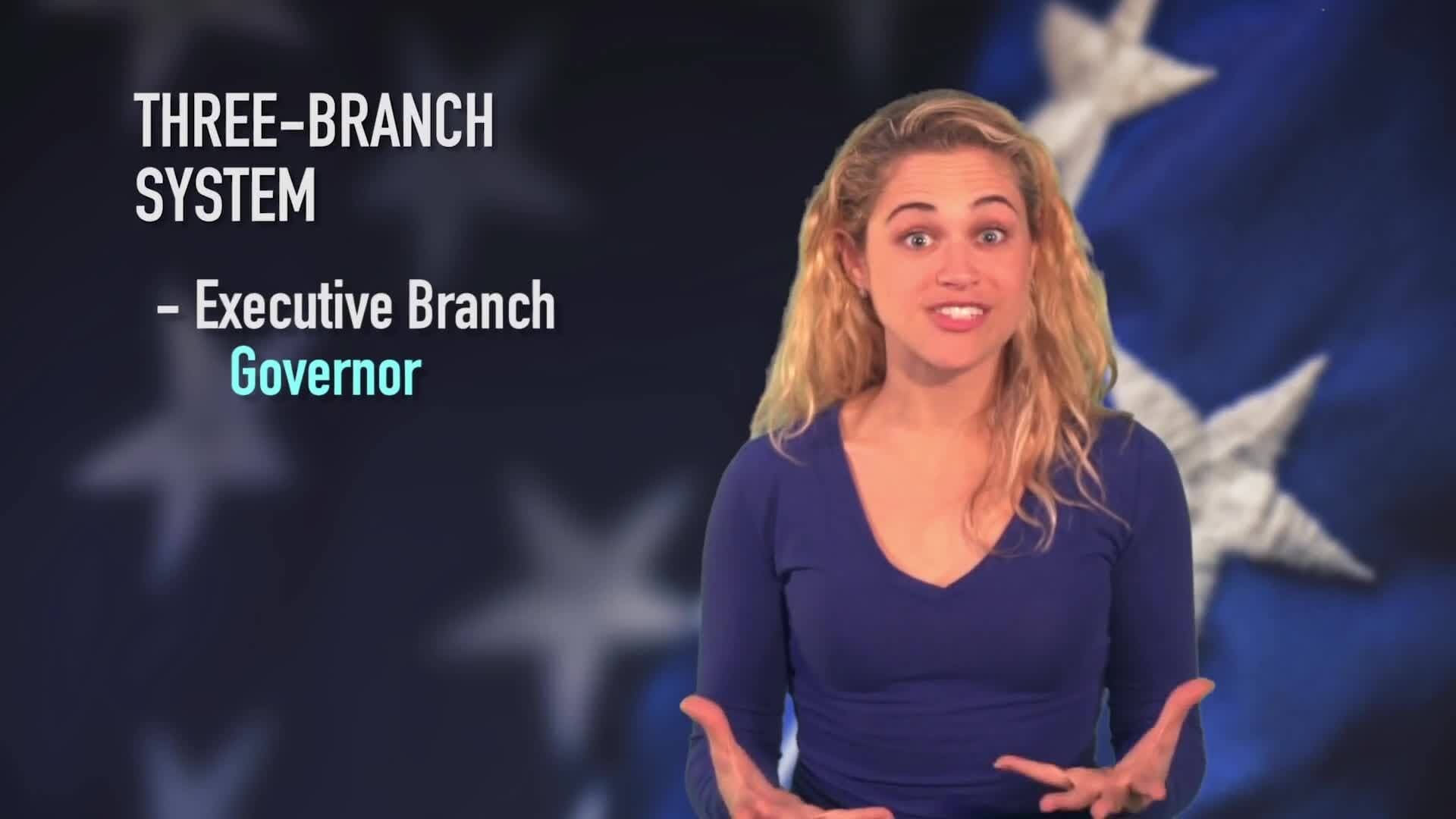 Understanding US State Government Structure