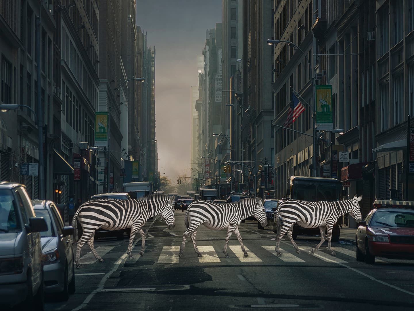 Developing Initiative