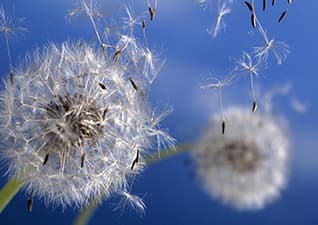 Where does wind come from?