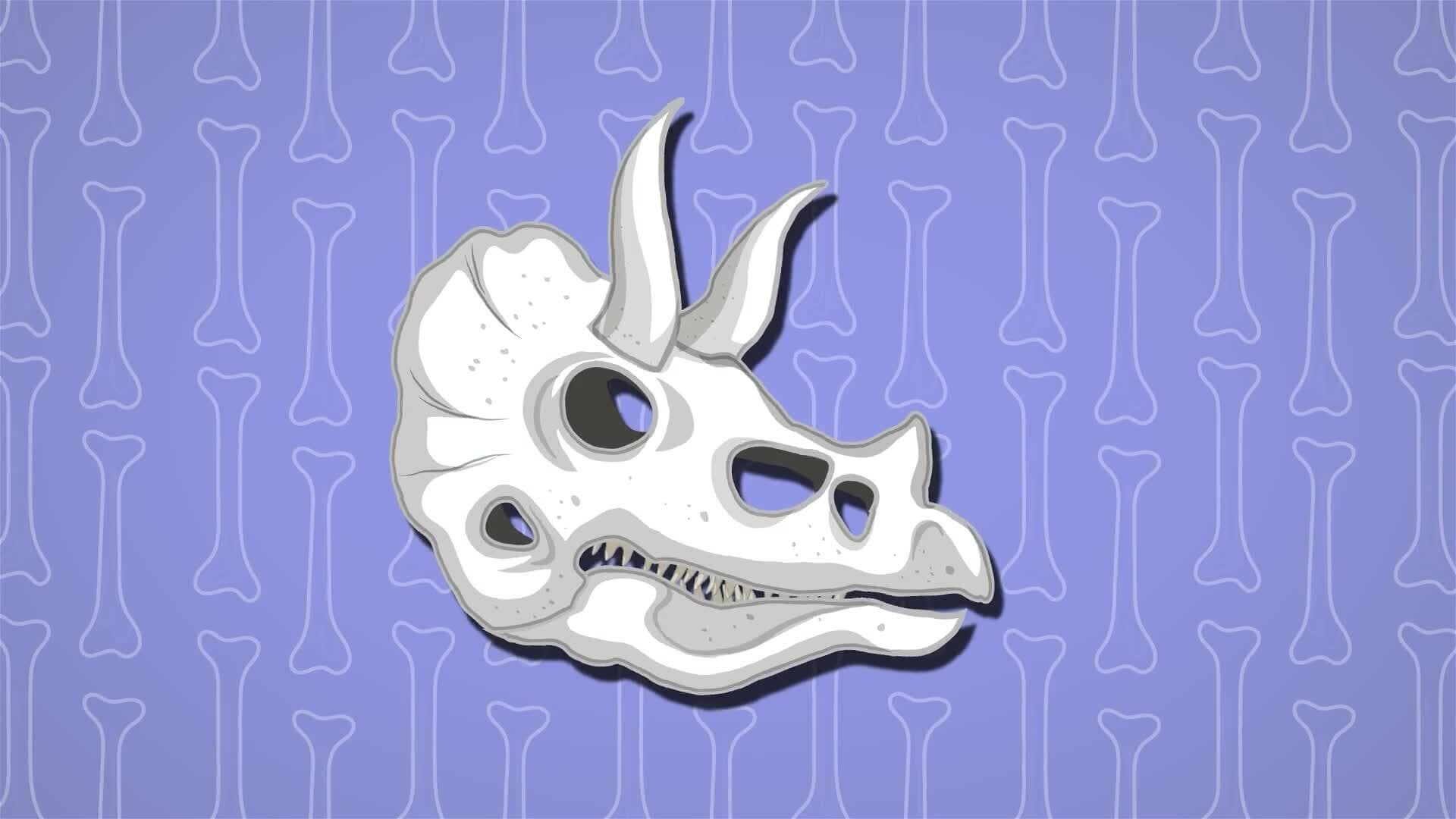 I WONDER - Are Fossils The Same As Bones?