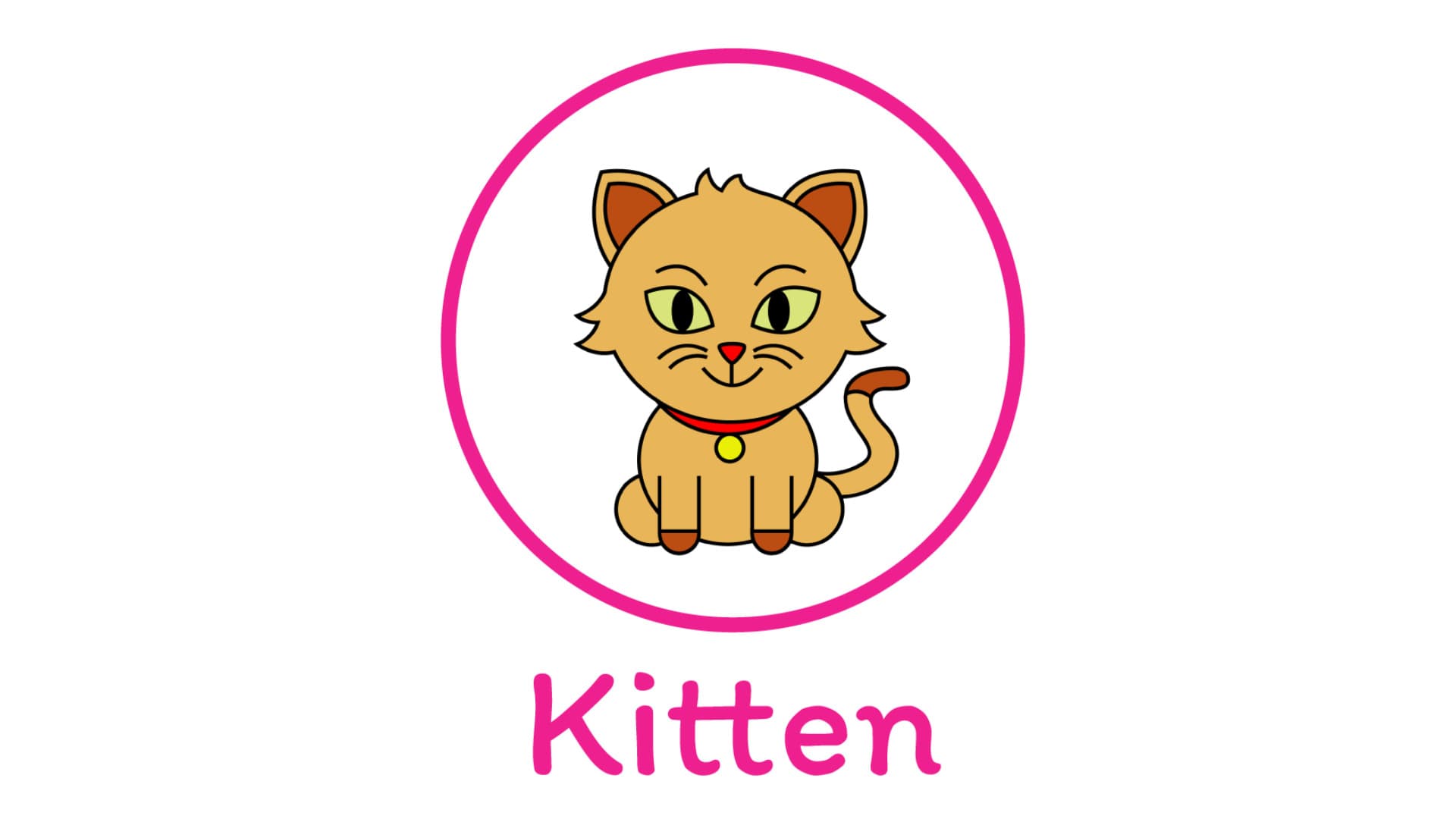 Learn To Draw A Kitten