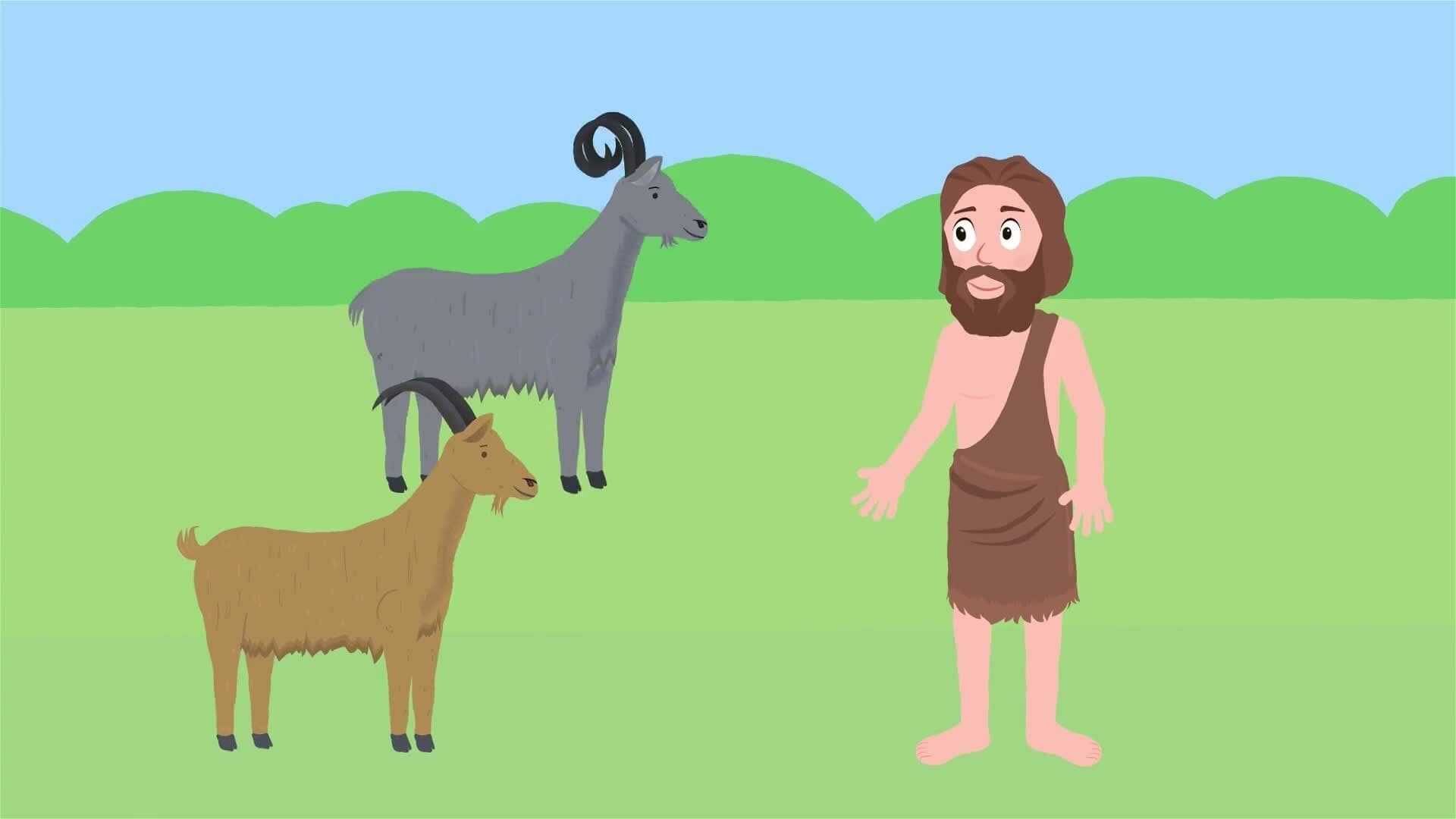 I WONDER - What Is A Baby Goat Called?