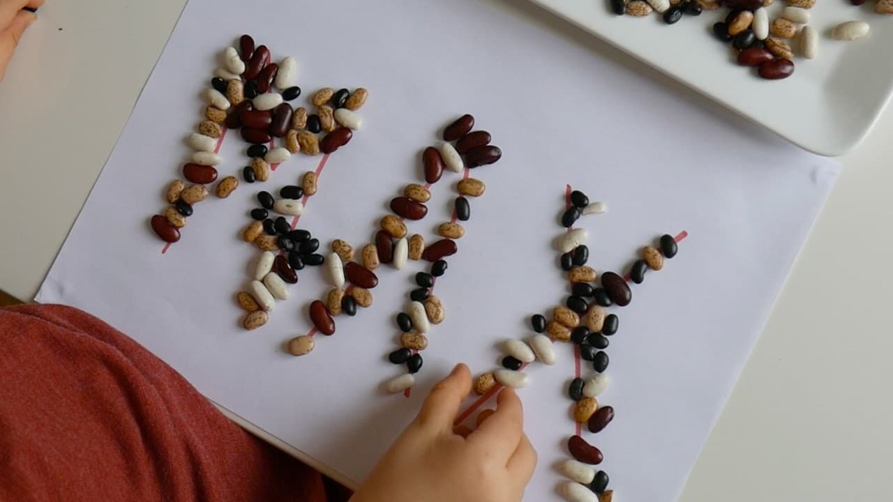 Name Recognition Activity Using Beans
