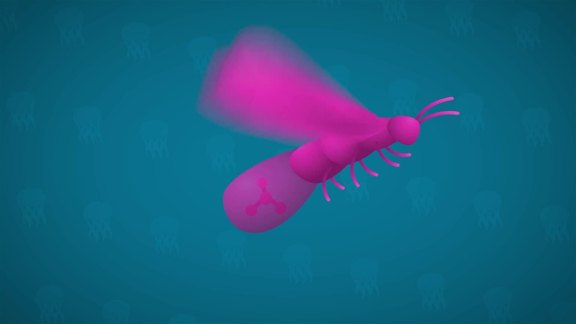 I WONDER - Can A Jellyfish Glow?