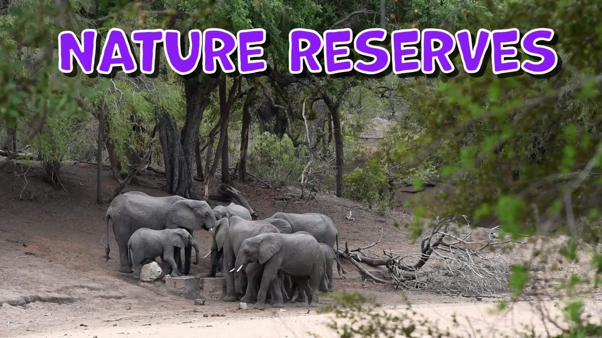 High Five Facts - Kenya