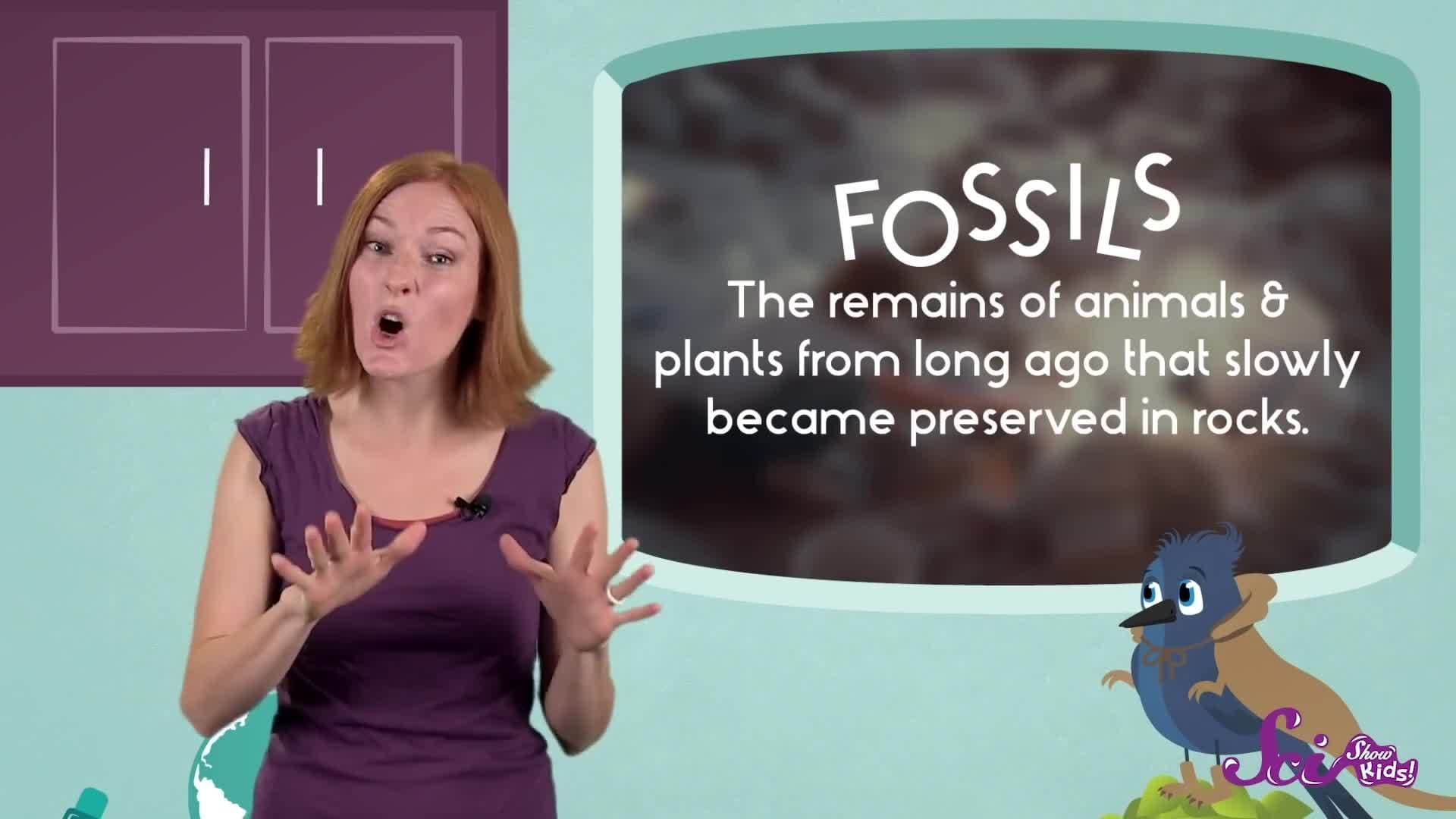 Dig In To Paleontology