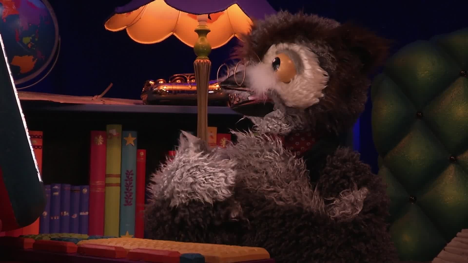 Owl's Fascinating Facts: Flying Backwards Hummingbird