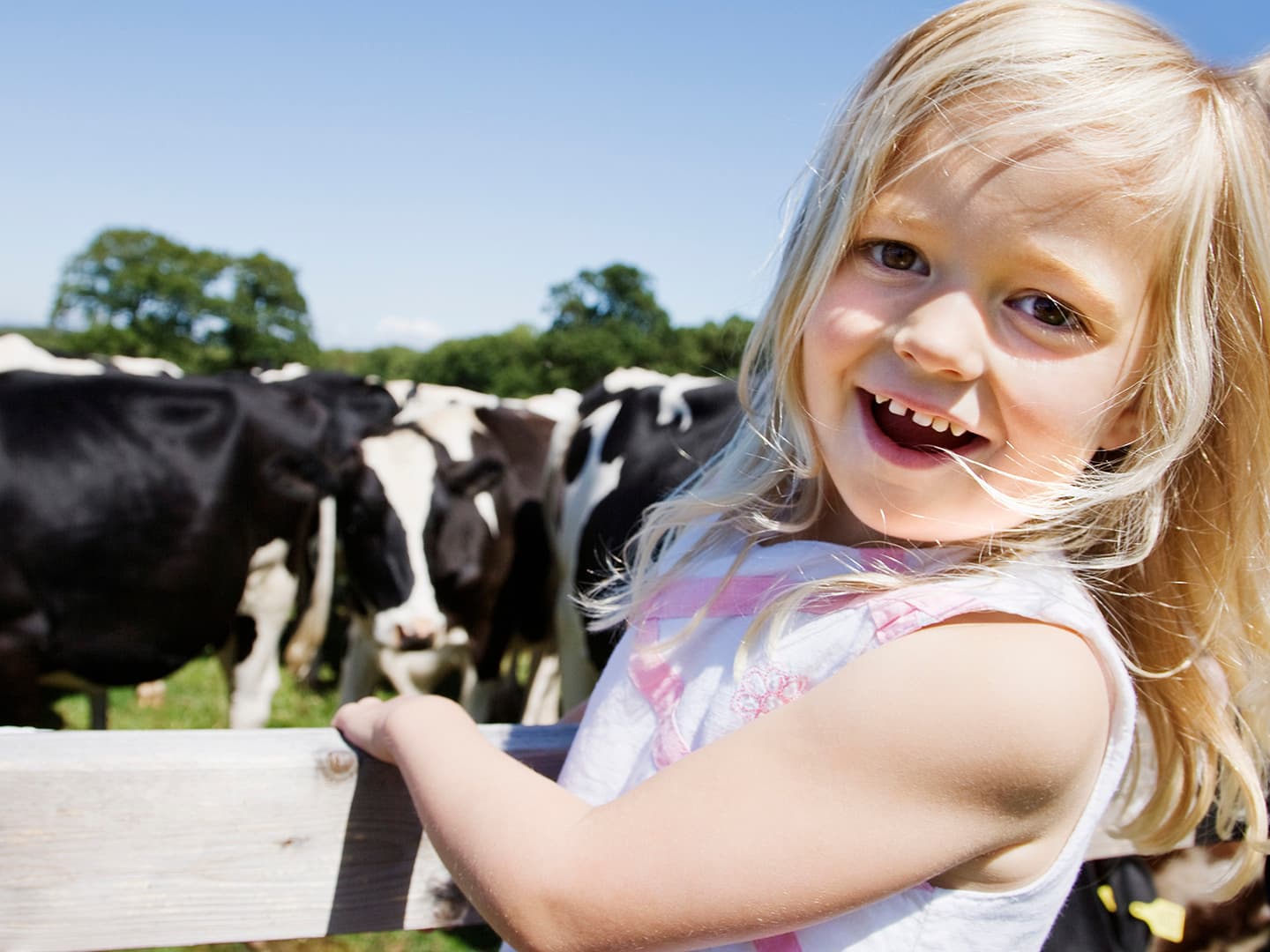 The Power of Determination: Inspiring Stories