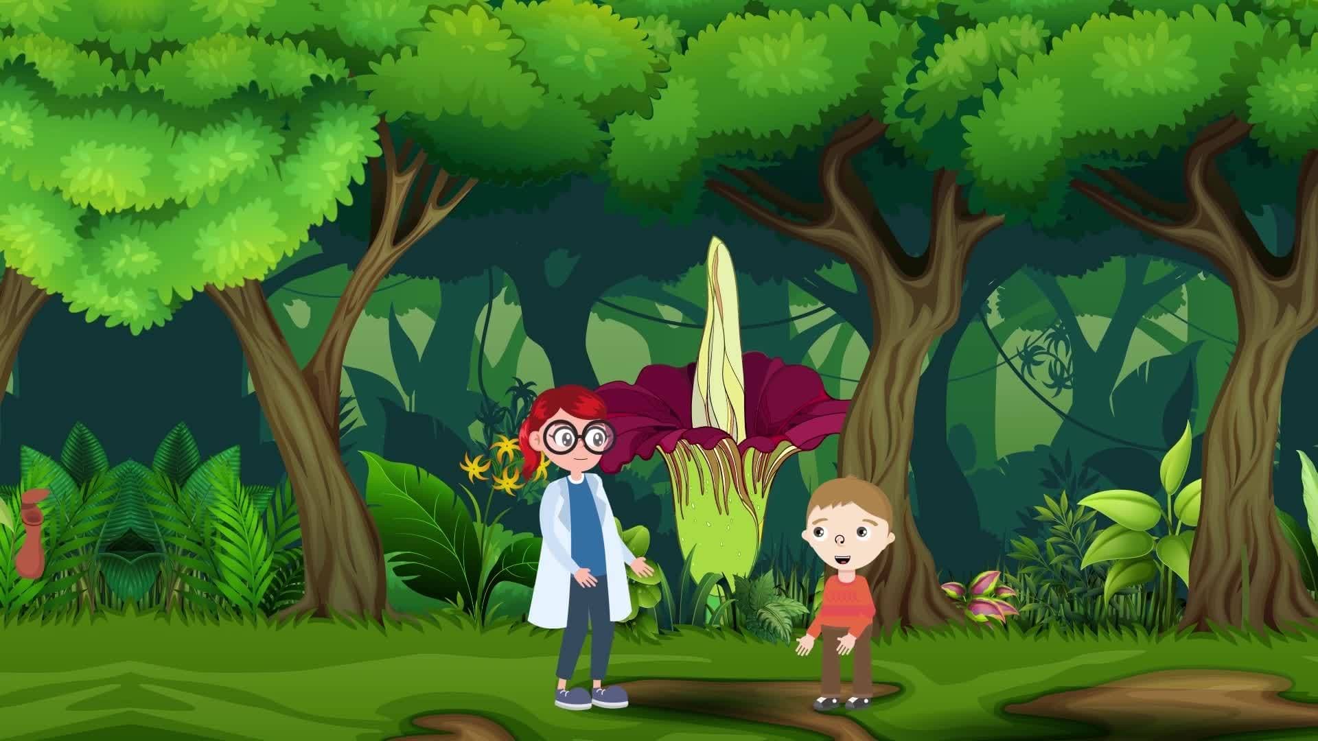 Plants Around the World