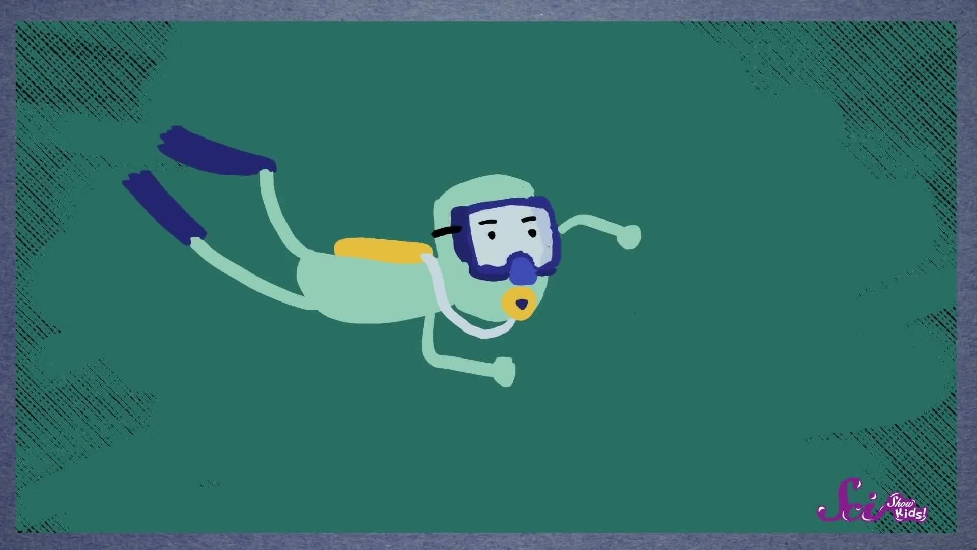 The Deepest Part of the Ocean!