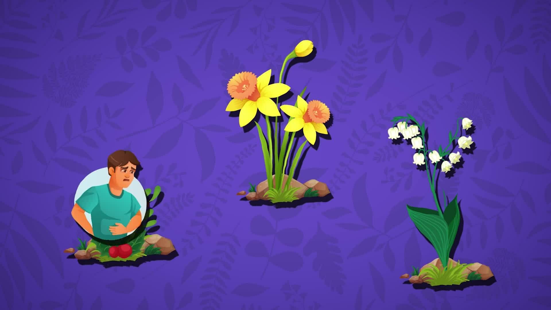 High Five Facts - Poisonous Plants