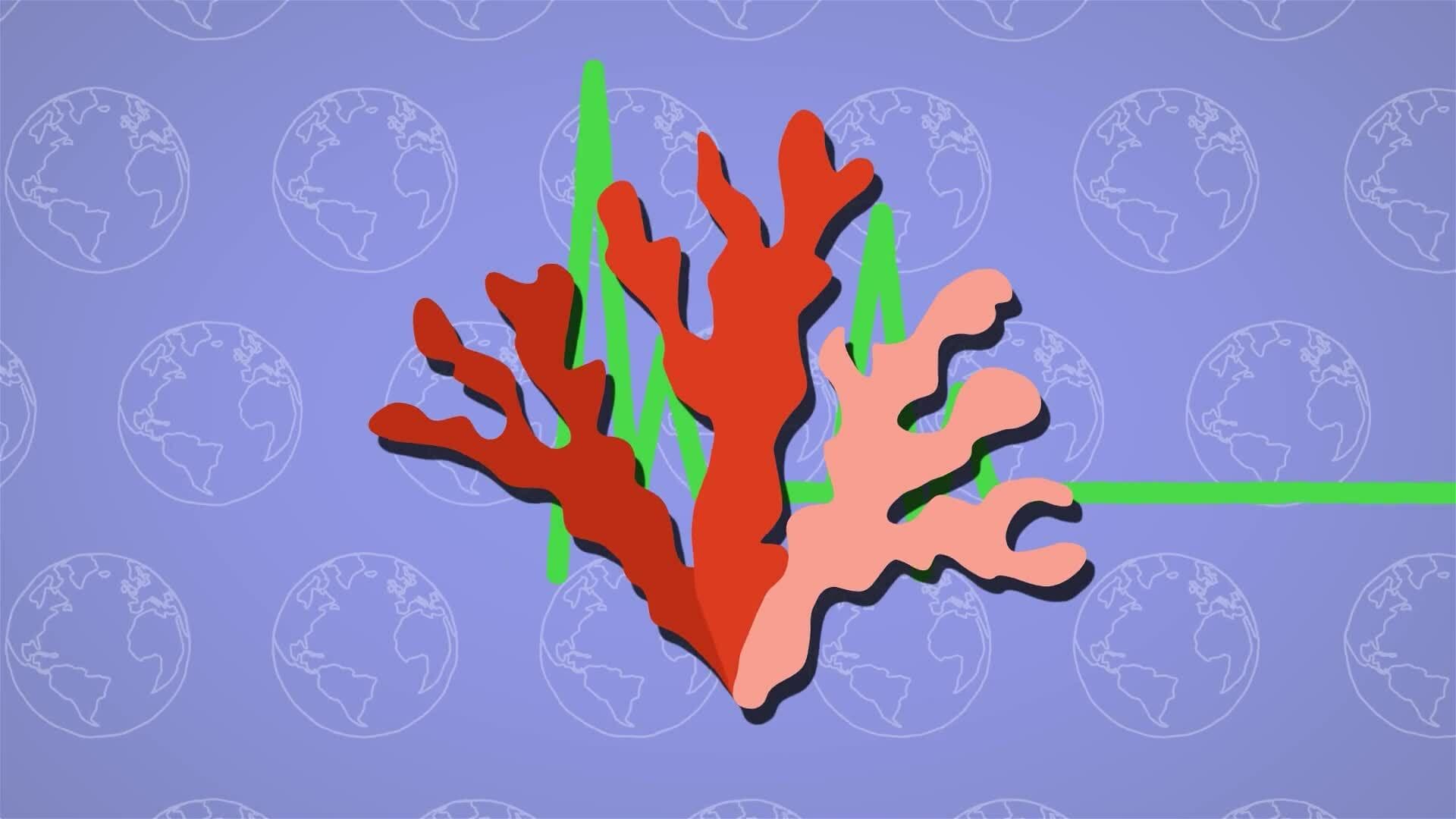 I WONDER - Is A Coral Reef An Ecosystem?