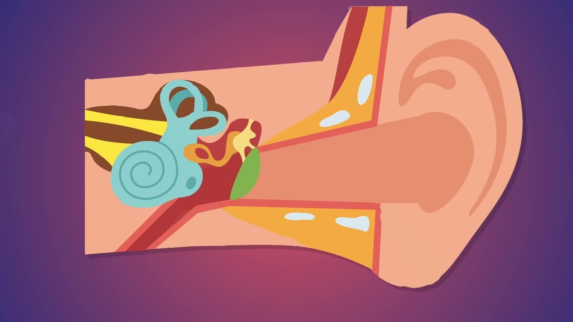 Why Do We Get Dizzy?