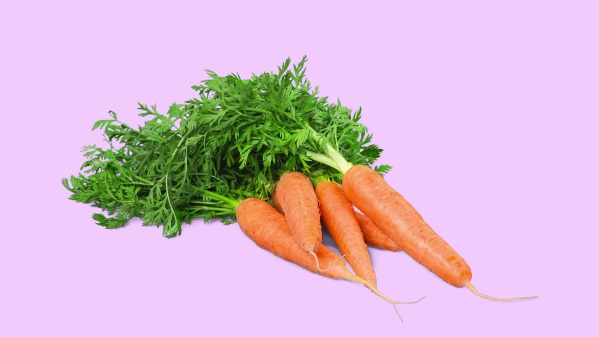 Let's Learn About Adjectives