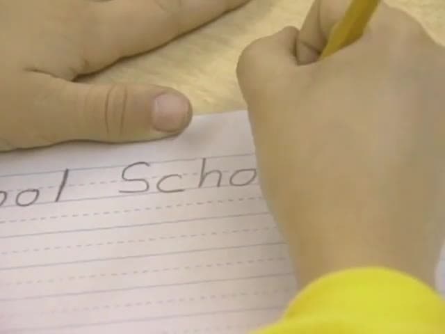 A Day at School: You'll learn at school