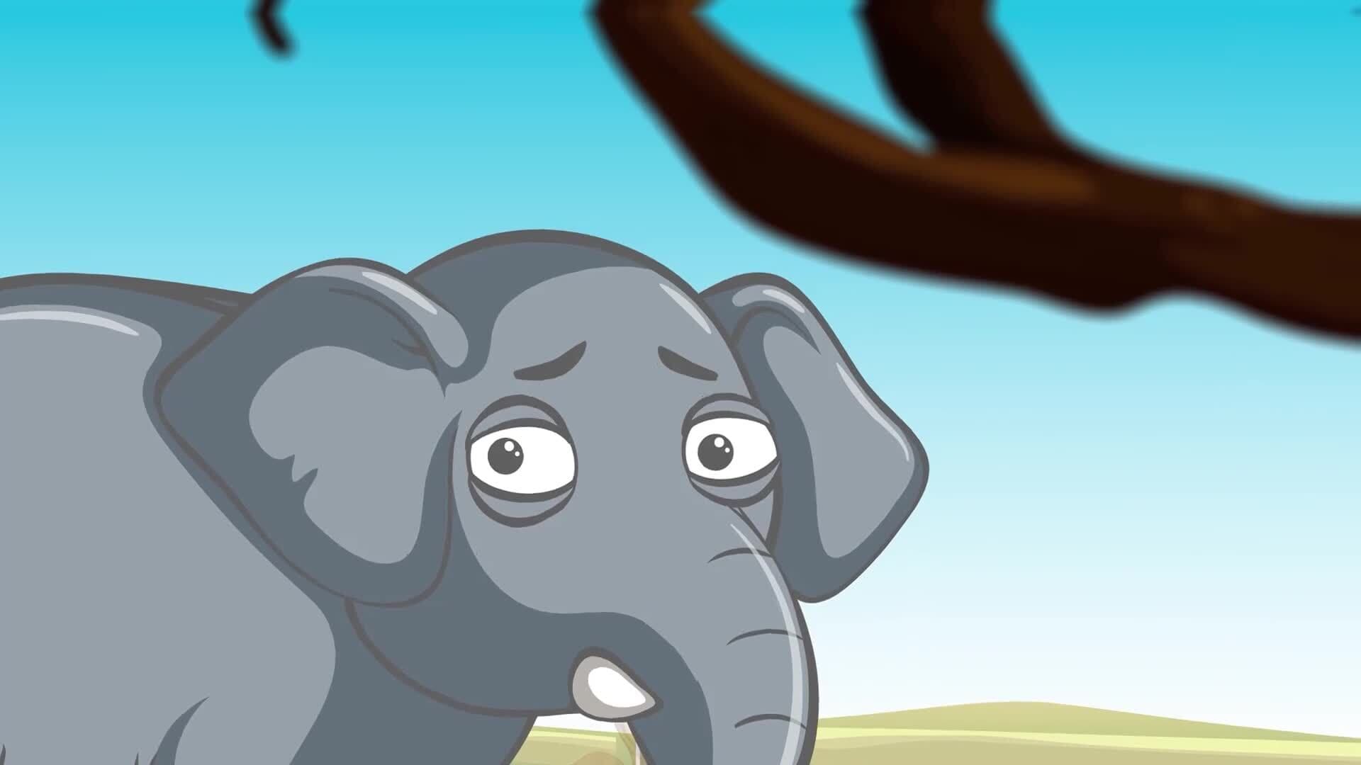 I WONDER - What Are Elephants Afraid Of?
