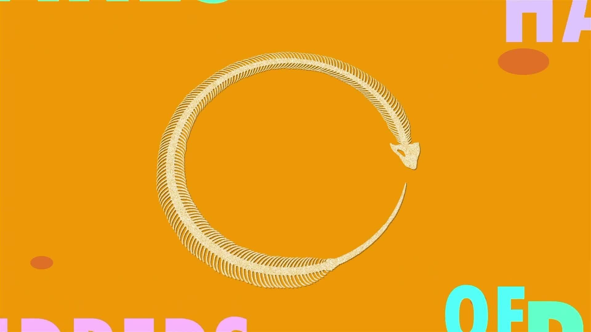 I WONDER - Do Snakes Have Bones?