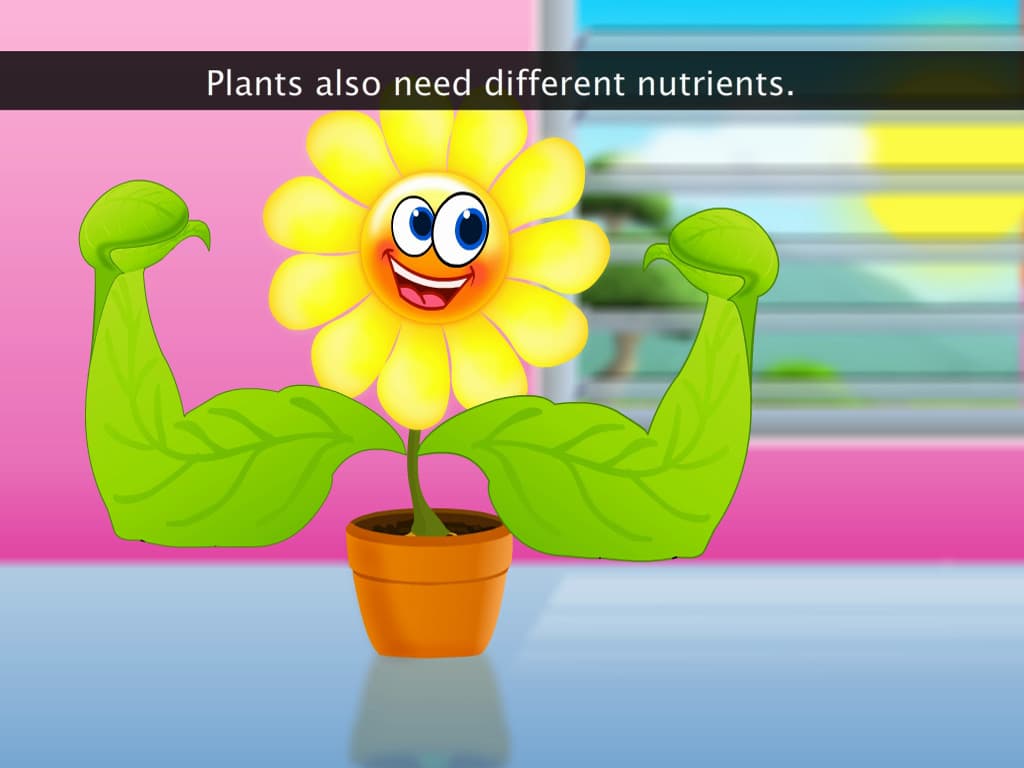 Nitrogen Nutrition in Plants