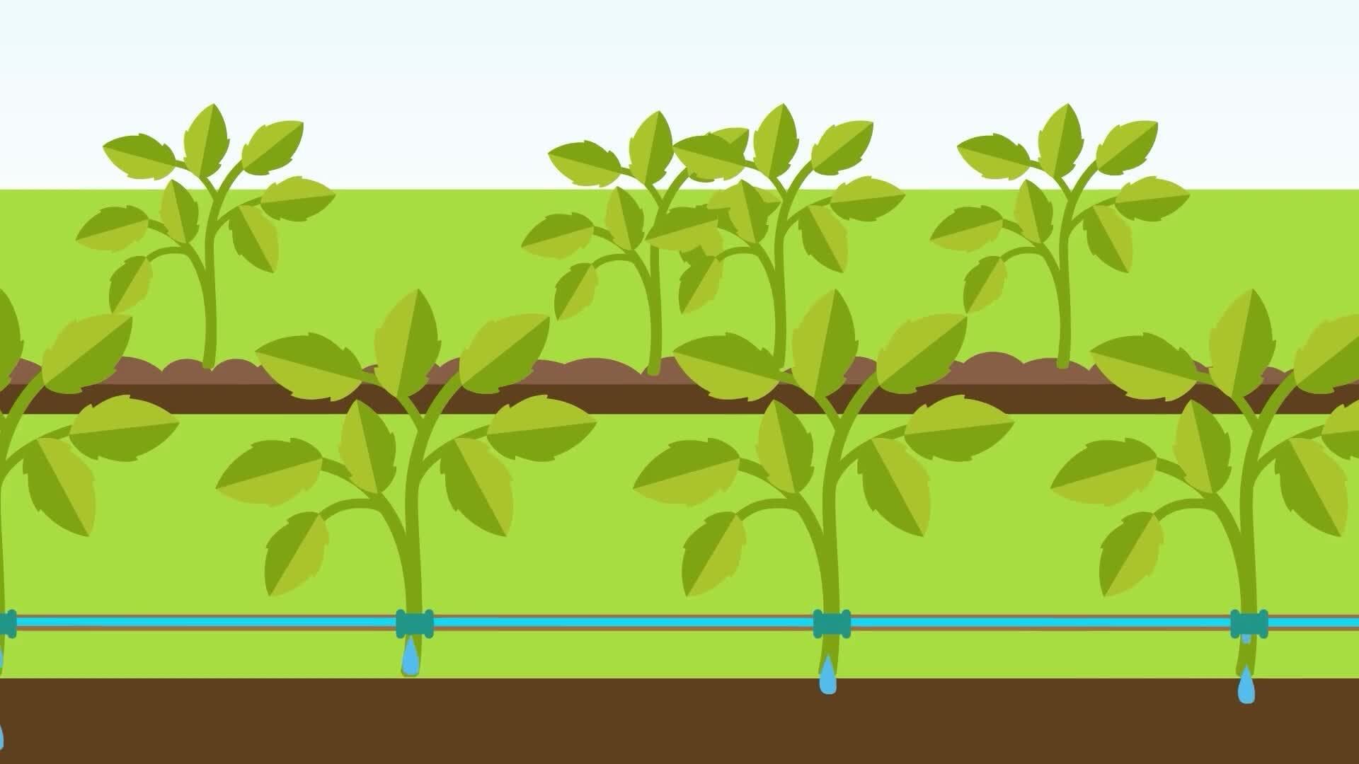High Five Facts - Sustainable Agriculture