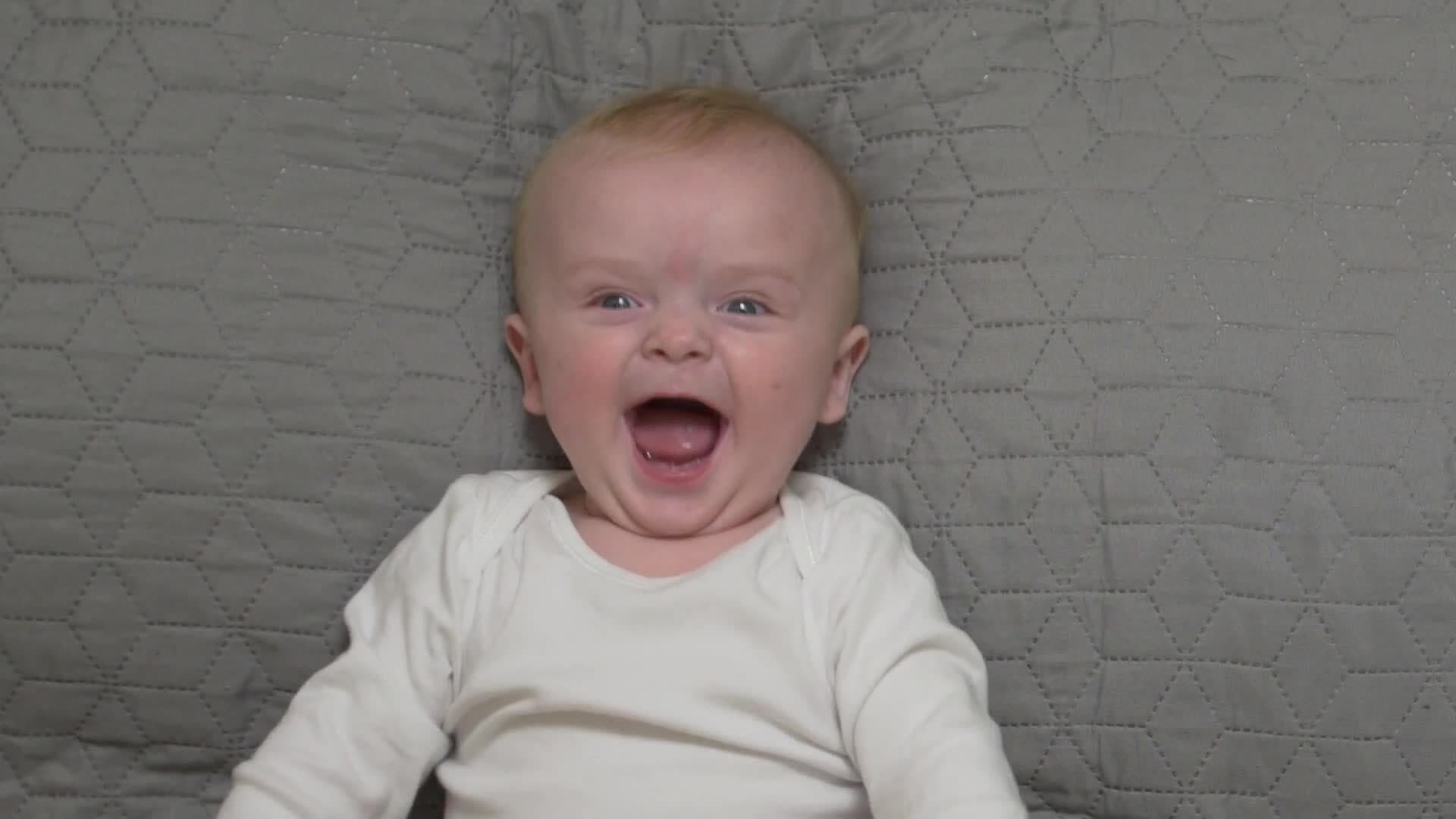 High Five Facts - Skull