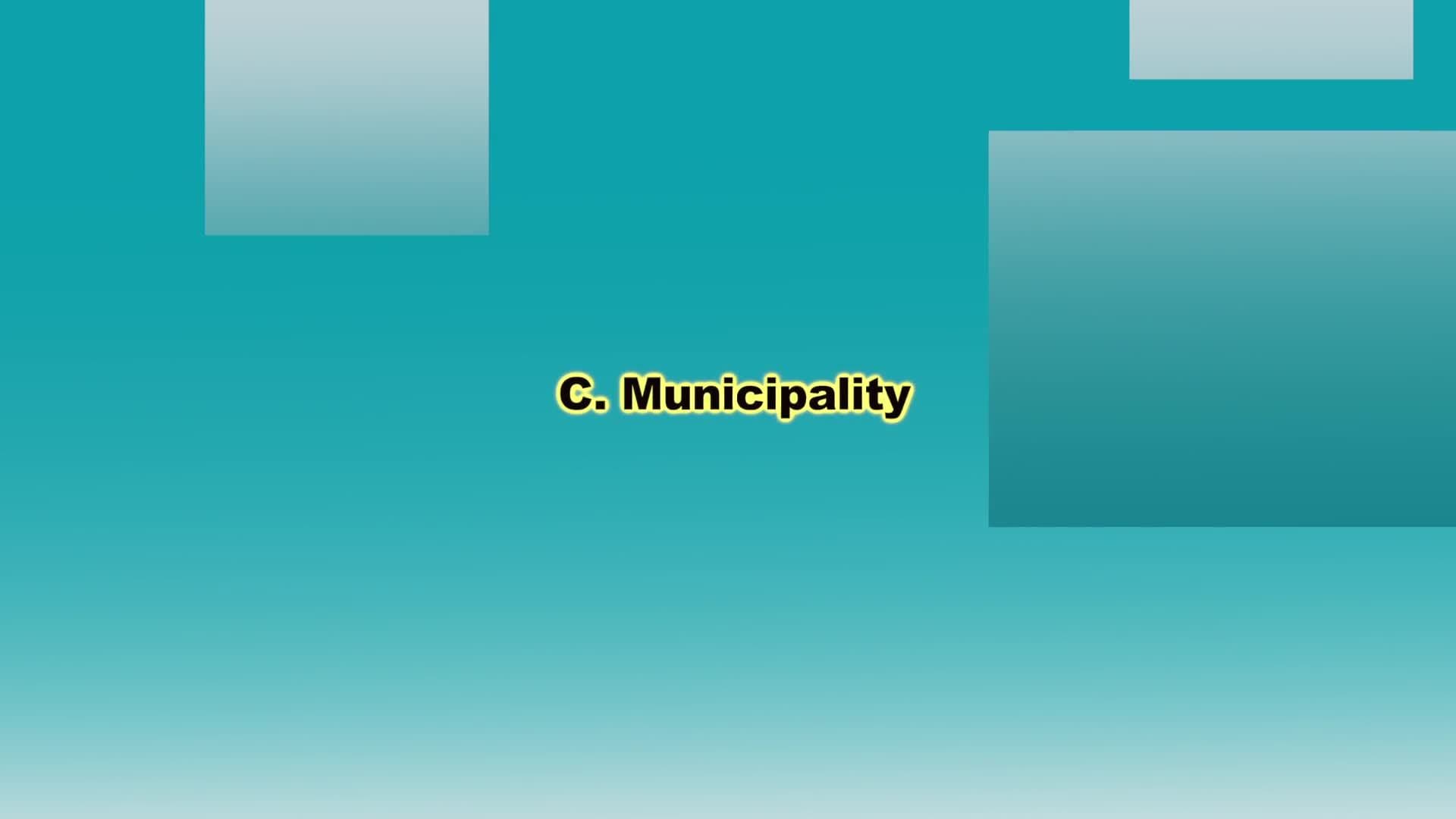 History Kids: City Government