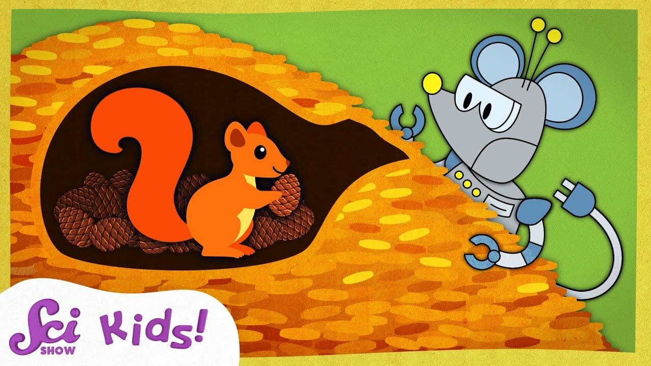 Stupendous Squirrel Storage! | Winter is Alive! | SciShow Kids