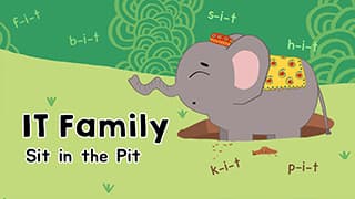 Introduction to IT Family words