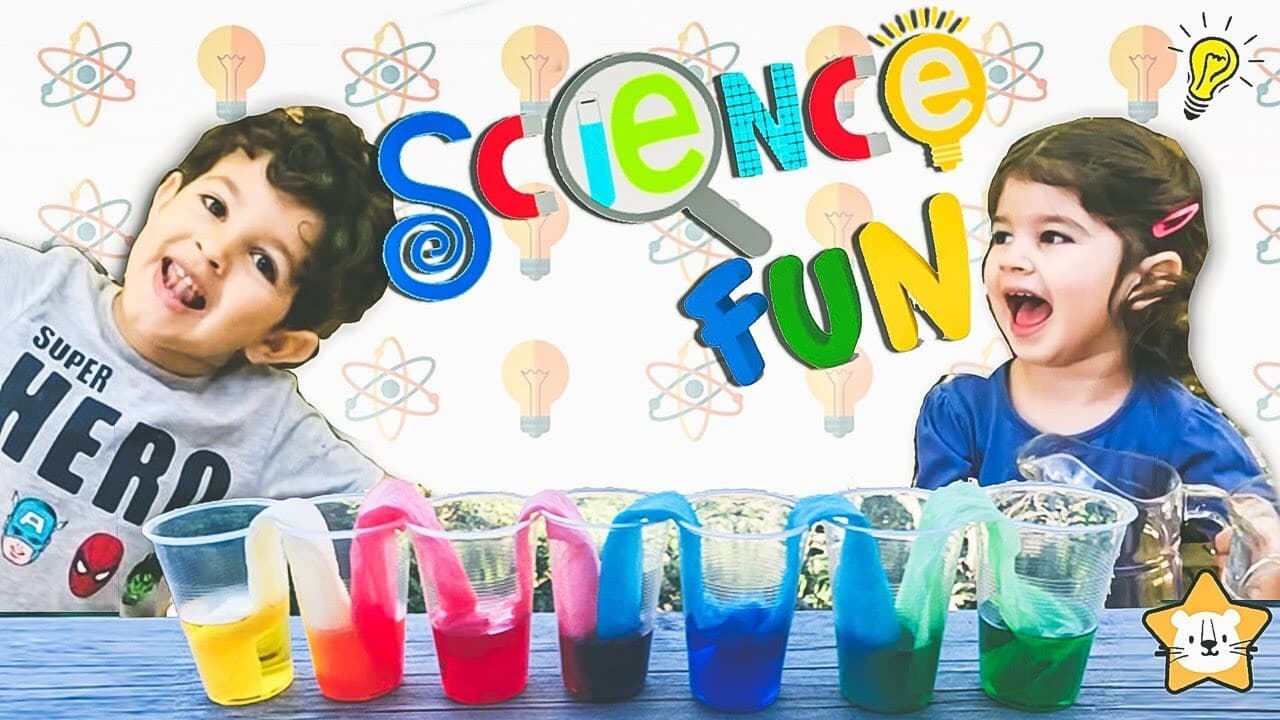 Walking Water Science Experiment