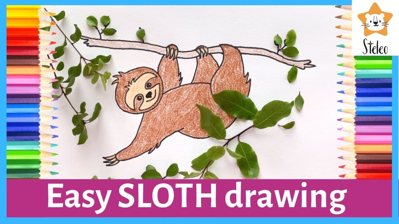 How to draw a Sloth