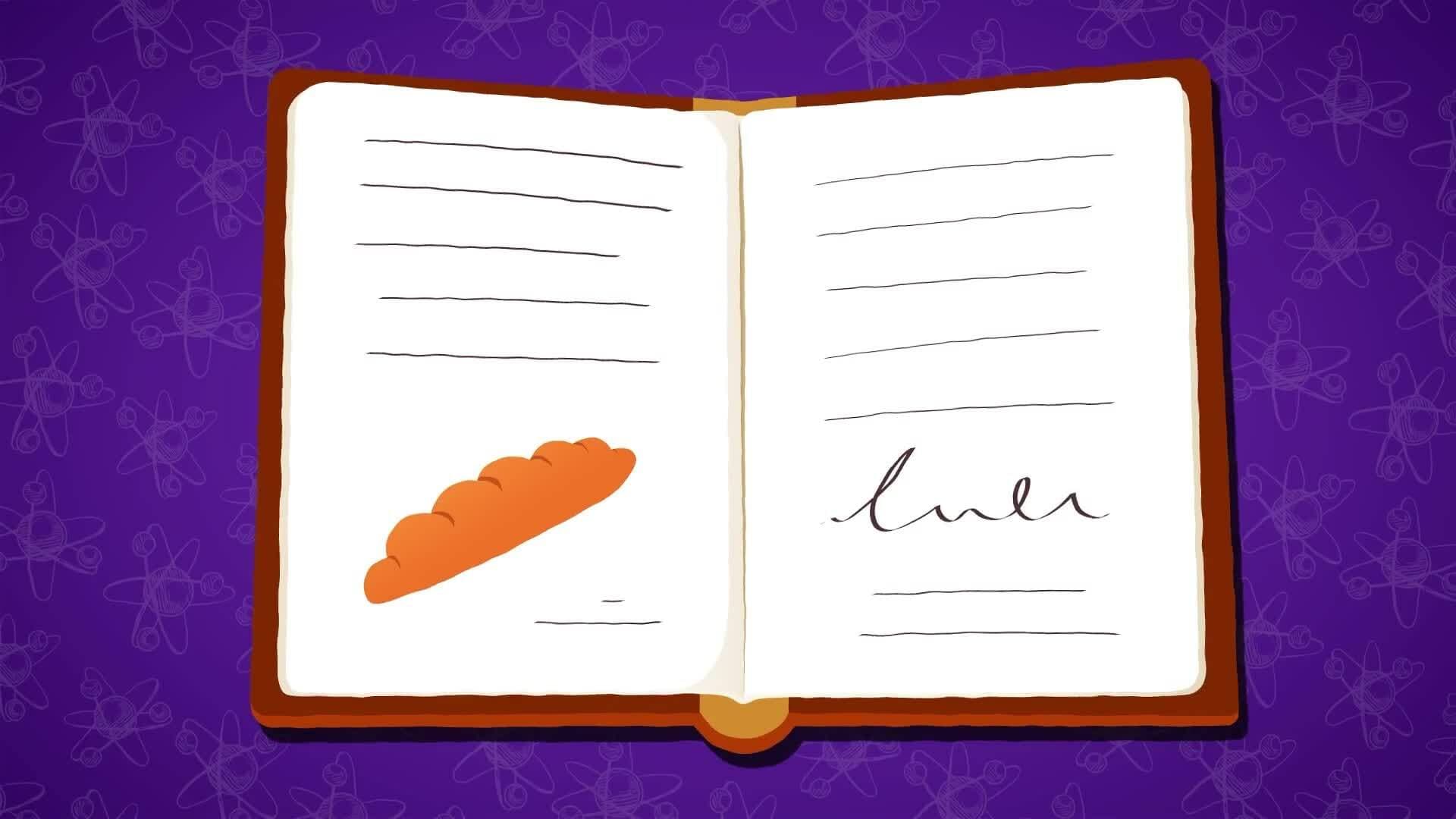 I WONDER - What Properties Do Elements And Compounds Have?