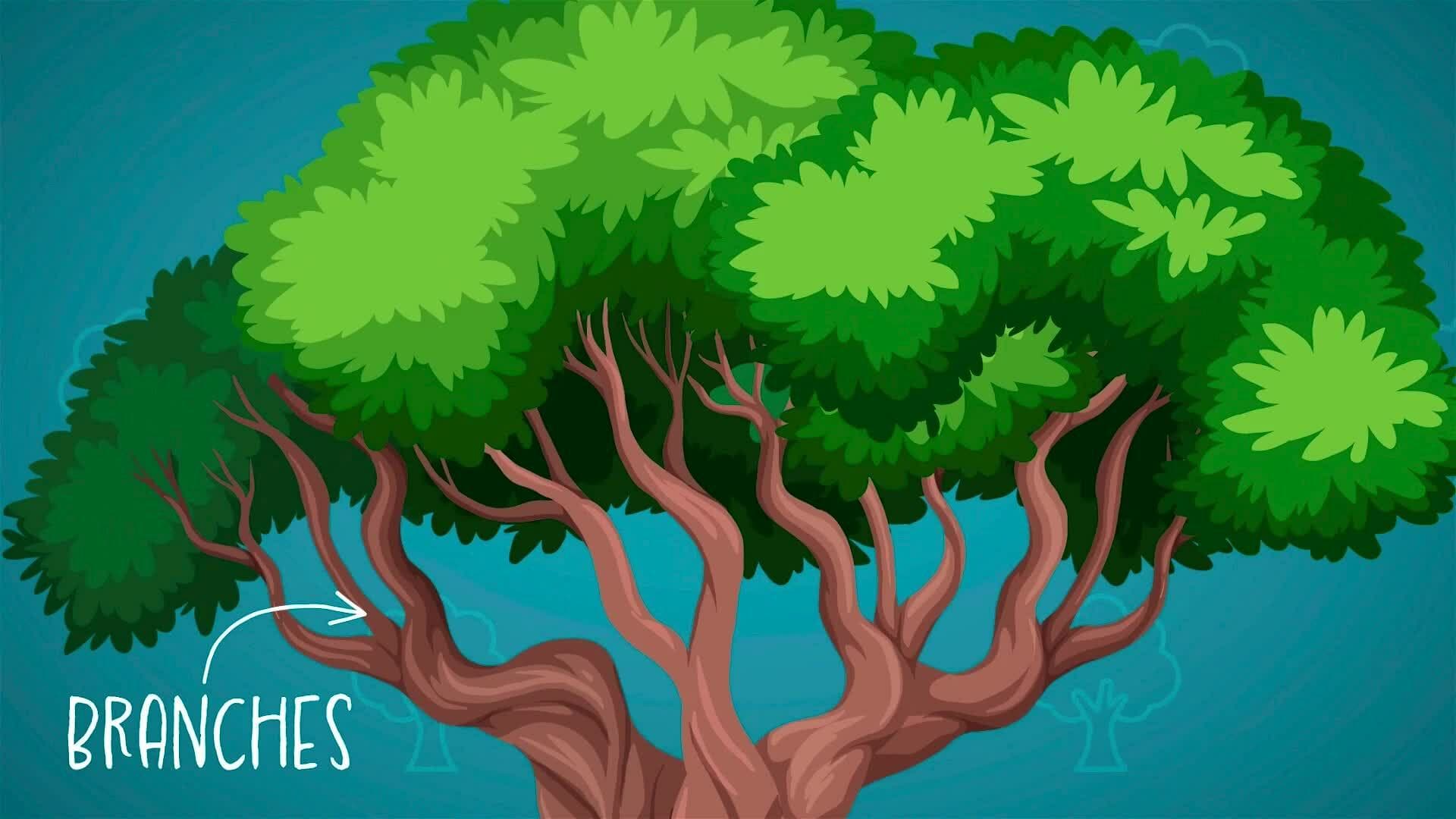 I WONDER - Is A Tree A Plant?