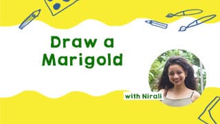 Marigold Drawing Guide