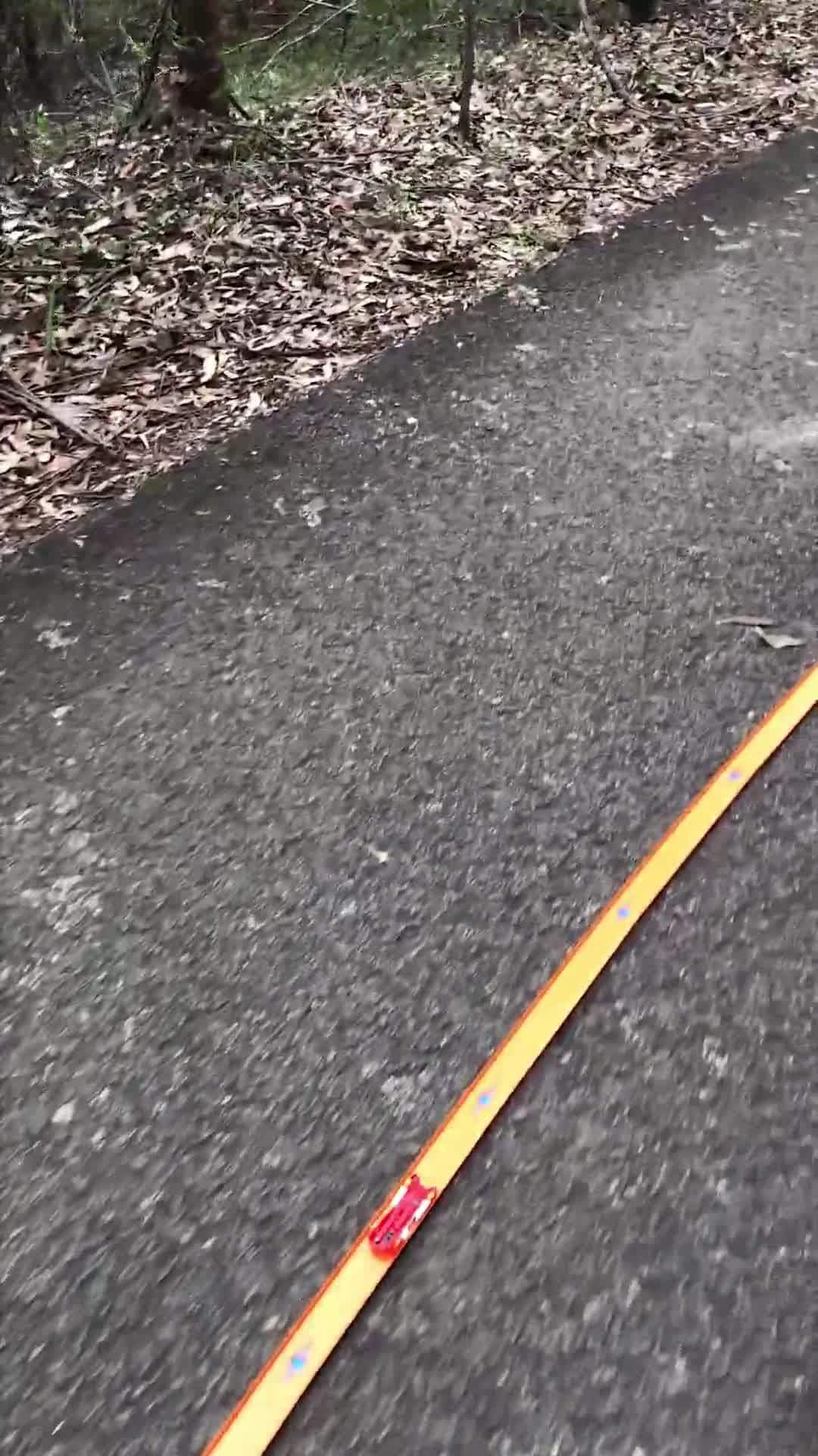 Longest Hot Wheels Track