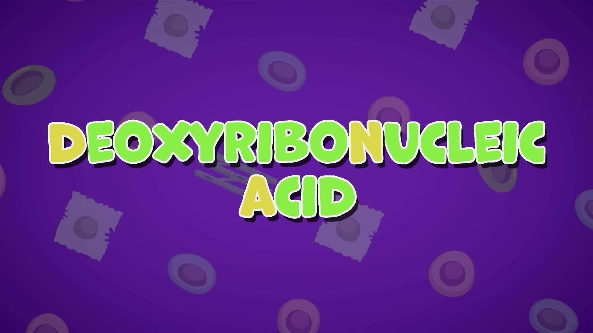 I WONDER - What Is Genetics?