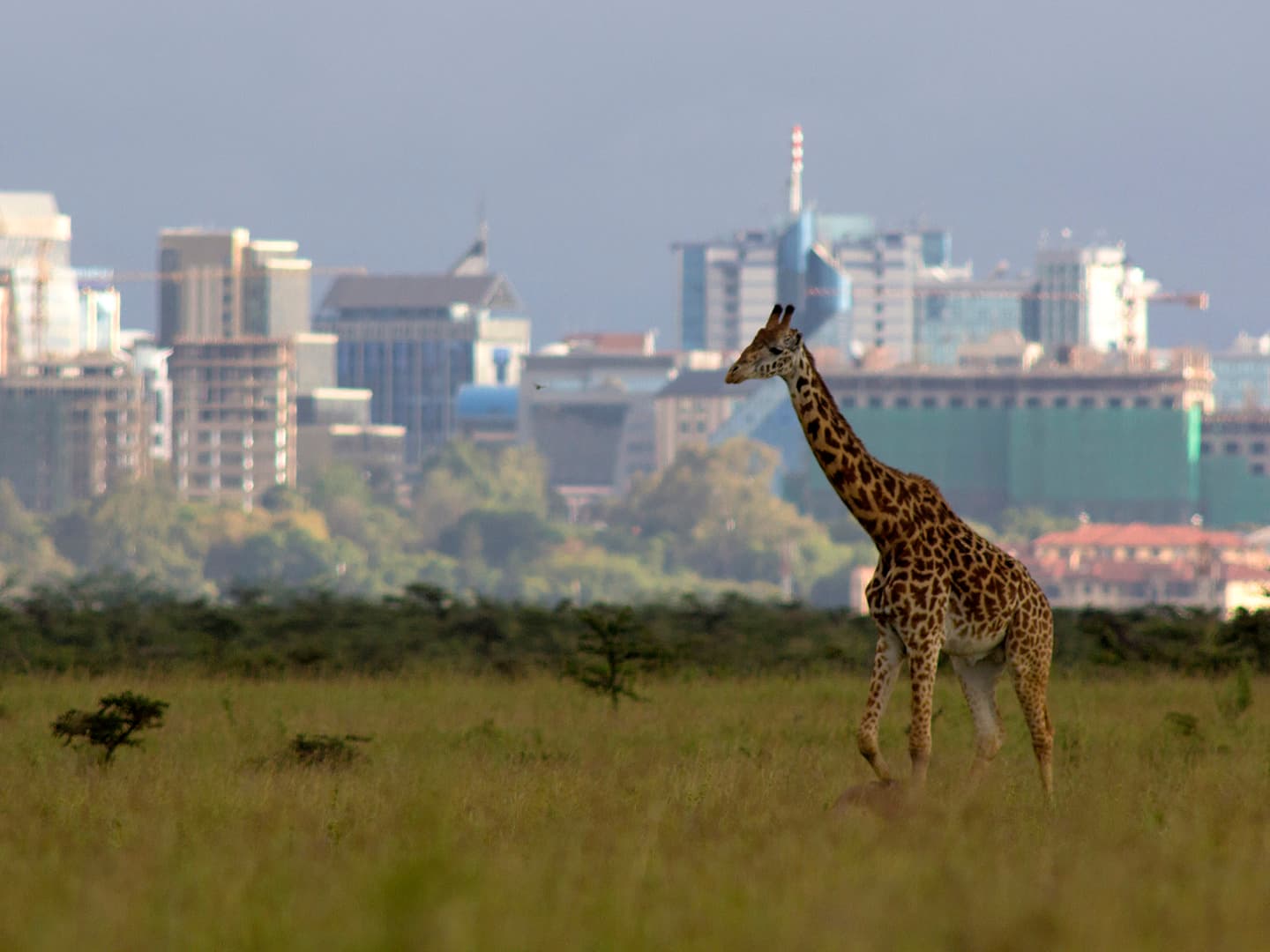 Pursuing Excellence: A Story of Determination and Support