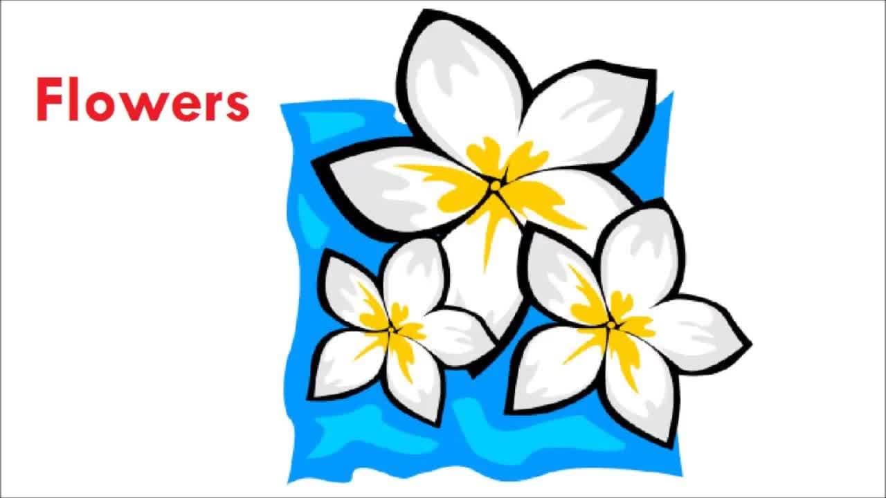 Letter F - The ABCs for Children and Toddlers